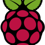 Raspberry Pi logo